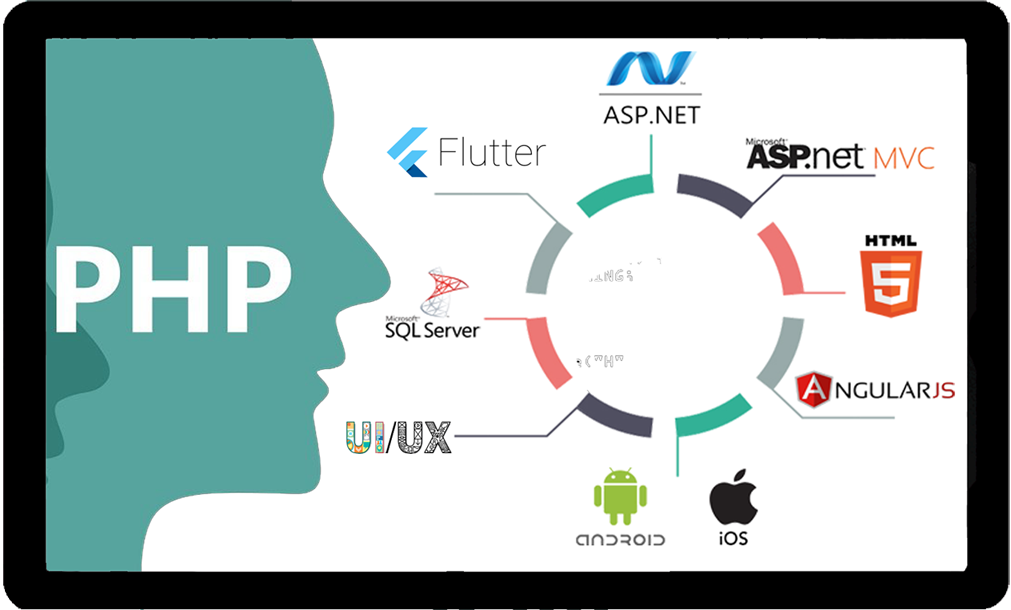 Web Design Companies in kuwait Web Design kuwait